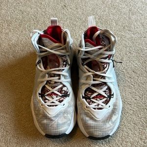 Lebron Basketball Shoes